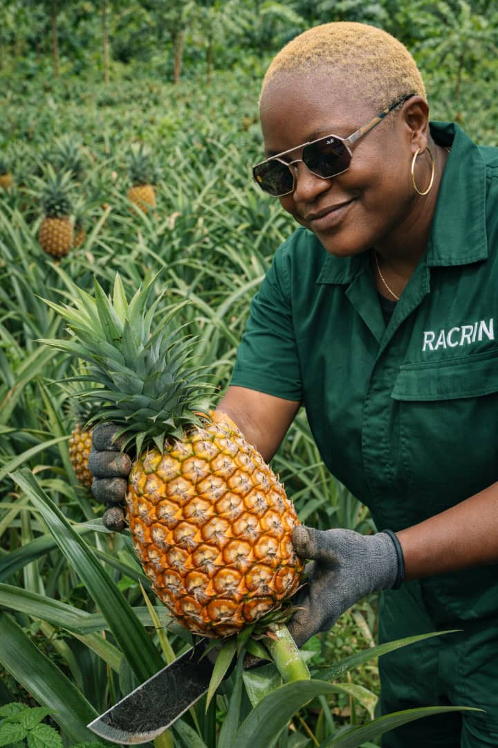 Smooth Cayenne Pineapple For Sale